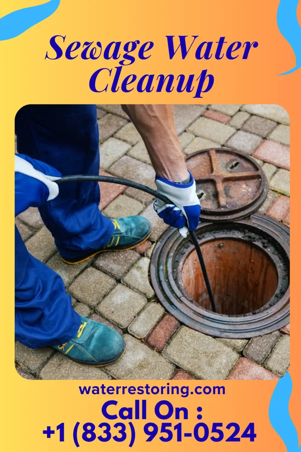 Sewage Water Cleanup in Lake Mack-Forest Hills, FL